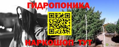 гашиш Жуковский