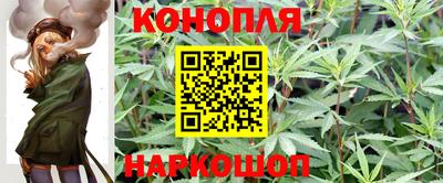 PSILOCYBIN Заволжье
