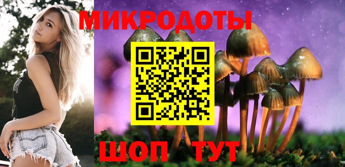 как найти   Вход с VPN  Мытищи  Галлюциногенные грибы мицелий 